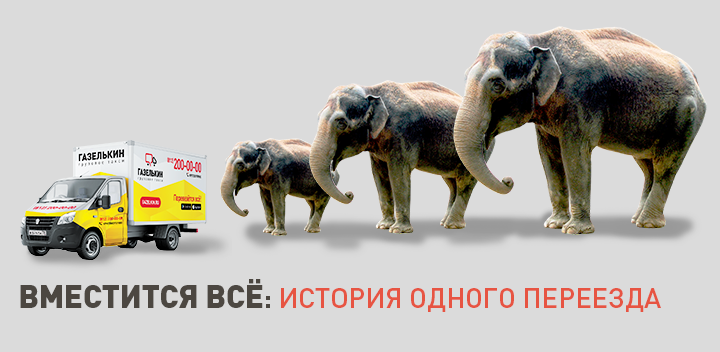 Где заказать недорогую перевозку с гидробортом?