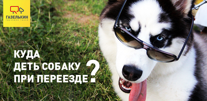Блог